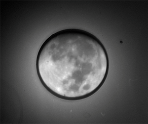 coronograph of the lunar sodium exosphere 