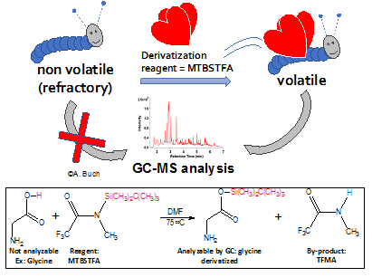 Figure 3. (Top) Cartoon simplifying a derivatization reaction with MTBSFTA (courtesy of Arnaud Buch): The caterpillar represents a non-volatile molecule reacting with MTBSTFA. This reaction gives "wings" to the caterpillar to become a "butterfly," a volatile molecule directly analyzable by GMCS. (Bottom) An example of reaction between and amino acid and MTSBTFA: the labile hydrogen of the amino acid is replaced by a silyl group, producing a volatile amino acid amenable to analysis by GCMS.