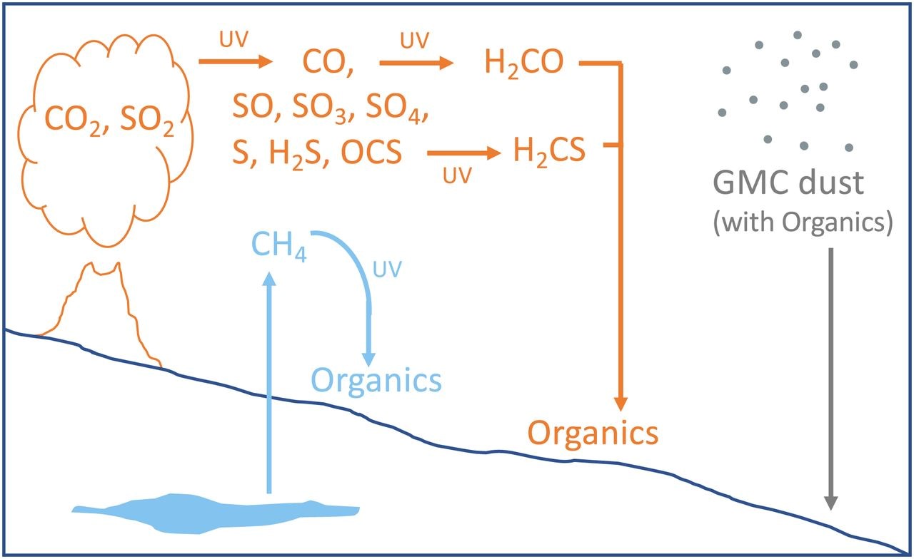 summary of hypotheses outlined above